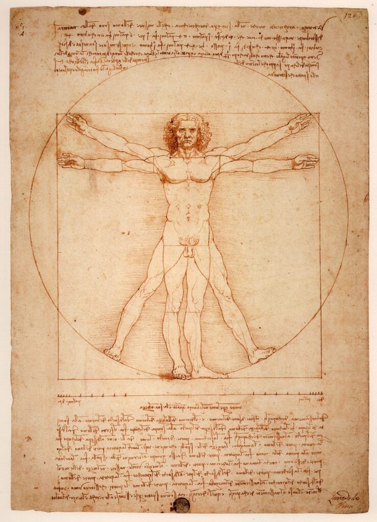 leonardo da vinci, the vitruvian man, uomo vitruviano